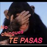 Donde va a ser