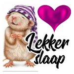 lekker slaap