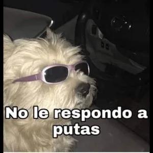 dp7tk9