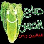 ايش هدا