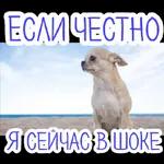 Всё 