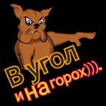 My Pack 2