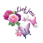 lief jou