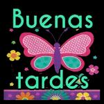 buenas noches