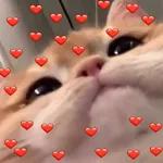 Te voy a denunciar porque me robaste el corazón.