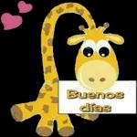 Que decia ese mensaje? 