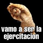 ejercicio 