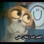 اصلا