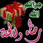 ملصقات ملصقات