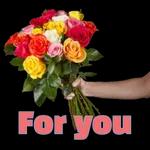 Flowers only for you💐💐💐