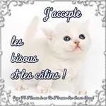 je t‘aime