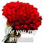 for you my princess